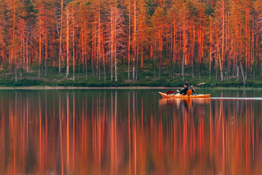 Summer in Finland Image