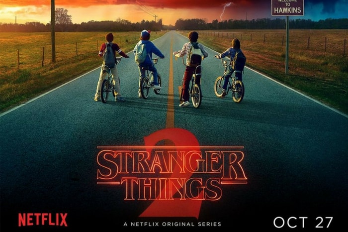 Netflix mega hit Stranger Things just wrapped up season 2