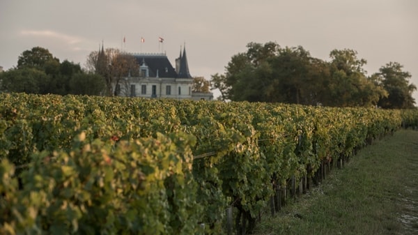 Chateau Palmer leads the charge with new bio-dynamic wine approach