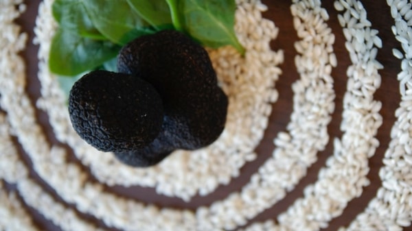 Winter is the season for black truffle treats