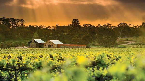 Try your hand at winemaking at the Ultimate Barossa Wine Experience