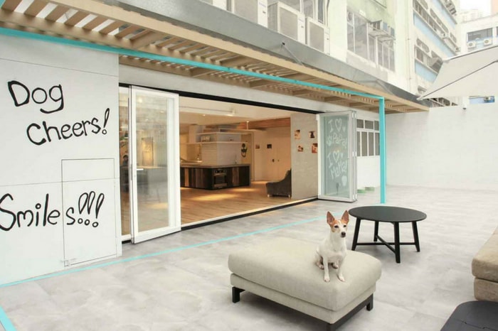 Dog Cheers is one of the poshest dog hotels in Hong Kong