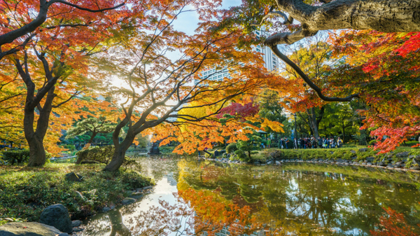 Hot travel destinations for October's Golden Week