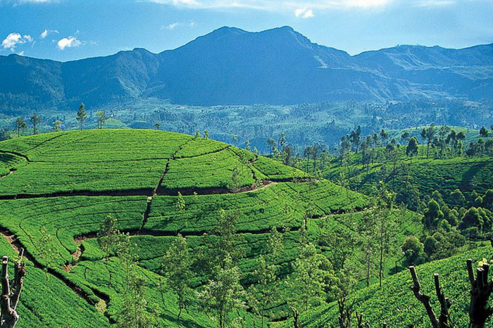 Kandy's picturesque roads make this Sri Lankan city a prime driving vacation destination