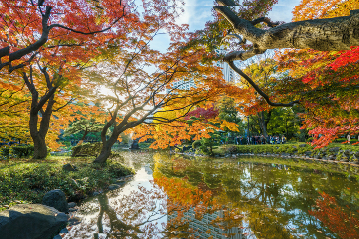 Tokyo's beautiful fall foliage makes it a top draw for Golden Week travellers