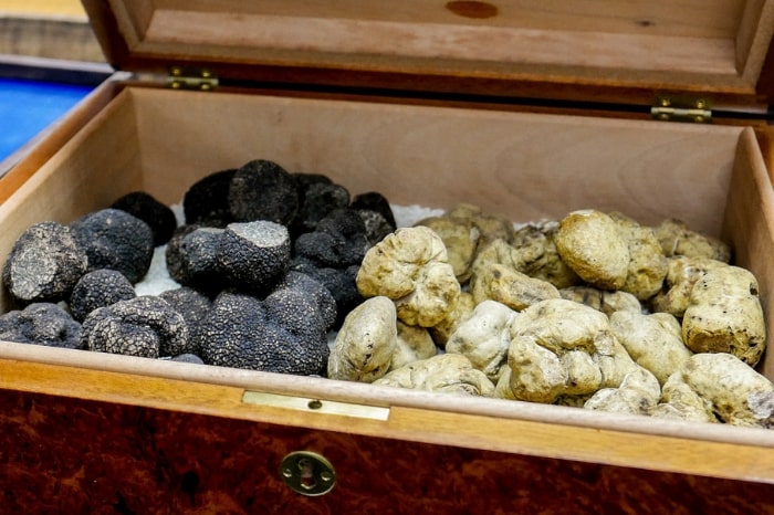 The contrast between black and white truffles