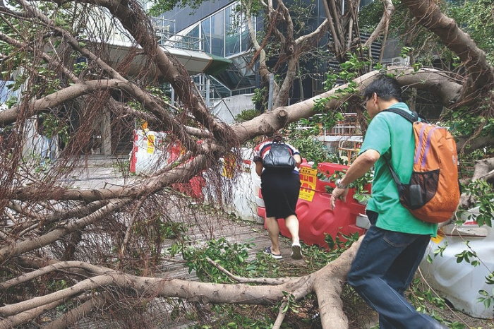 Mangkhut