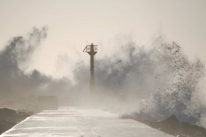 Mangkhut