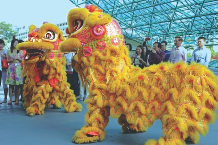 January Events - Int'l Dragon and Lion Dance Festival