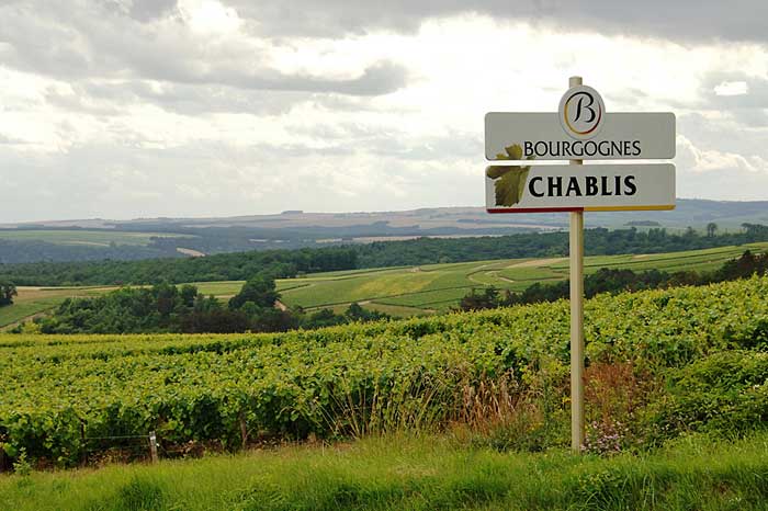 Burgundy's Chablis region