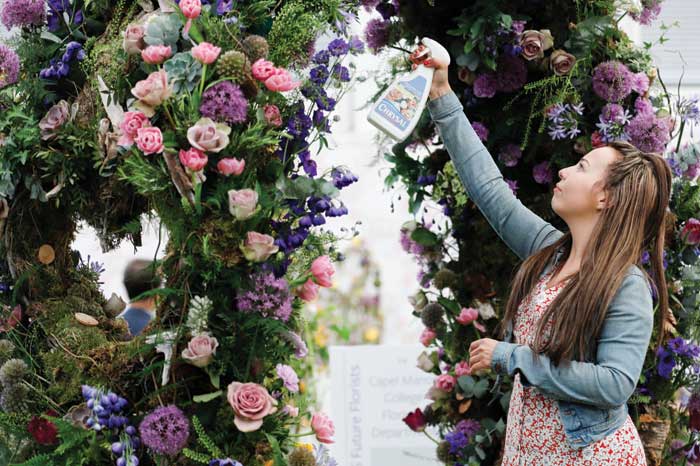 Chelsea Flower Show