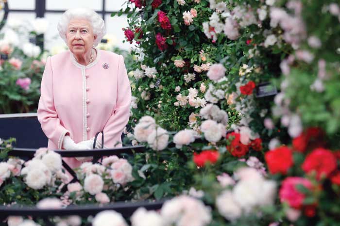 Chelsea Flower Show