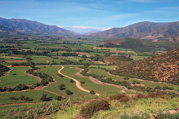 Chilean wines and unique geography