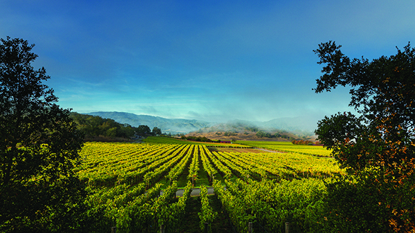 Valley Forth: How Napa Valley set out to conquer the world of high-end wine…