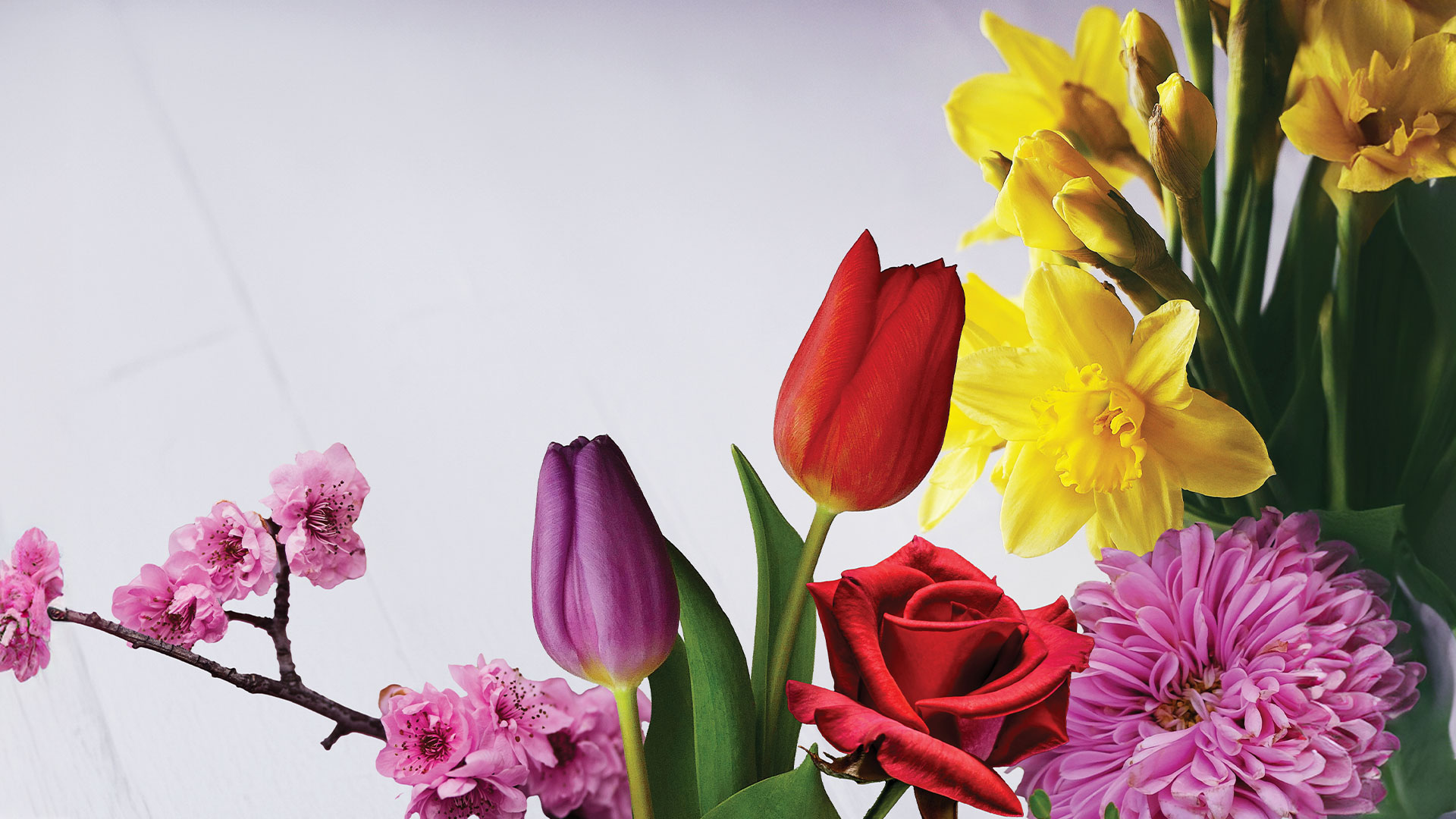 Flower Power: Striking national posies can instil a strong sense of cultural pride